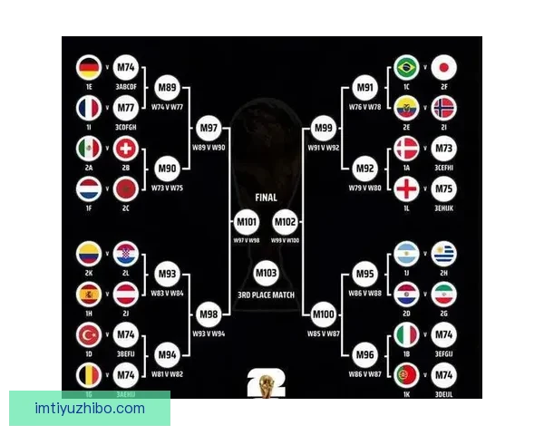 2026年世界杯参赛国家全名单及晋级历程分析