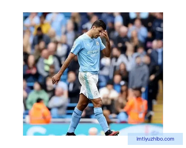 小武什自信宣布下赛季加盟热刺梦想与哥哥共赴汉堡并肩作战成真路